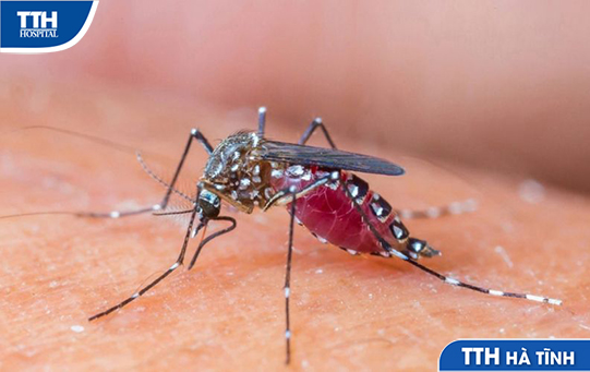 Trẻ bị muỗi cắn và những điều bố mẹ cần lưu ý